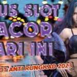 Slot Online Microgaming: Apakah Layak Dicoba?